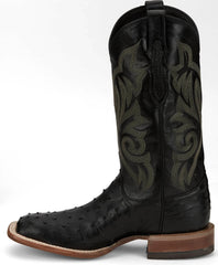 Pascoe 13" Full Quill Ostrich ™ - Midnight (Black)