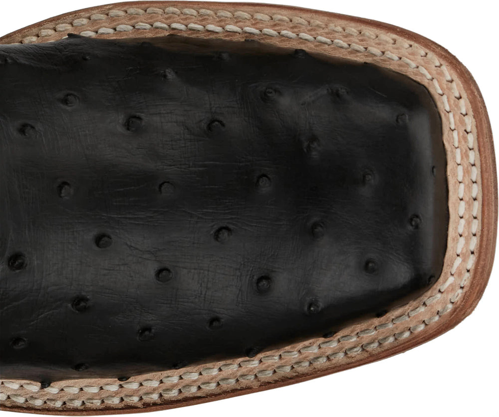 Pascoe 13" Full Quill Ostrich ™ - Midnight (Black)