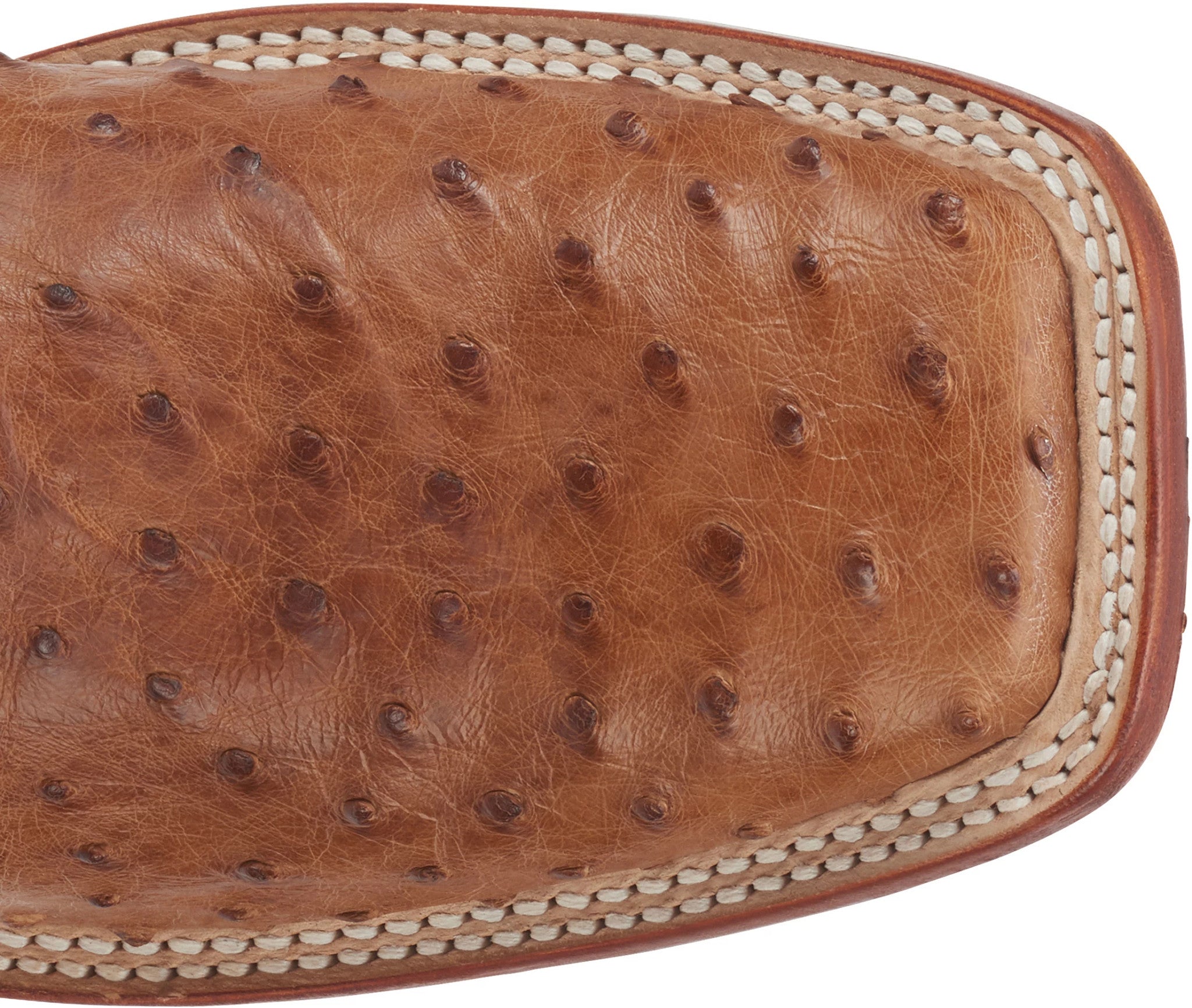 Truman 11" Full Quill Ostrich ™ - Cognac (Brown)