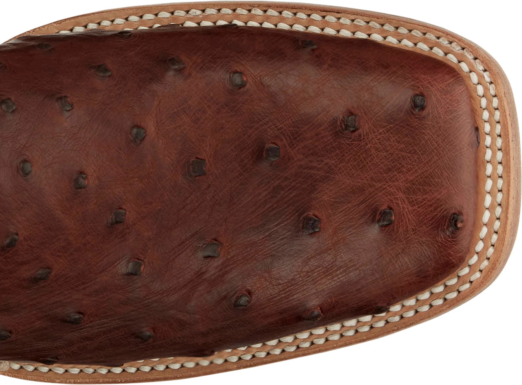 Doc Bar - Full Quill Ostrich ™ - Brandy (Brown)