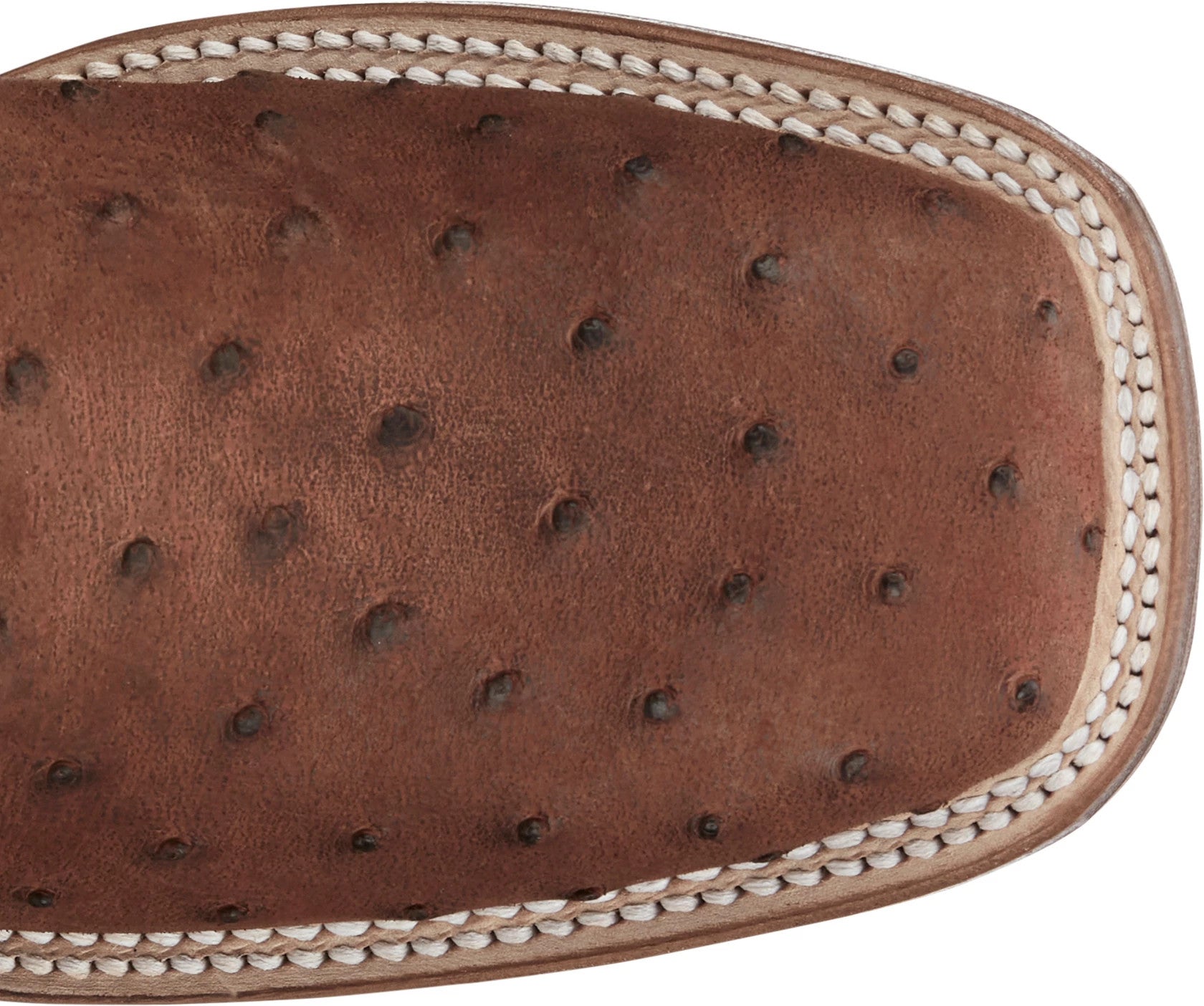 Belmont 11" Full Quill Ostrich ™ - Wild Brandy (Brown)